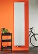 Purmo Vertikalheizkörper in schmaler, flacher Form an einer oranger Wand. Daneben ein schwarzes Rollregal mit Pflanzen und einem Fahrrad.