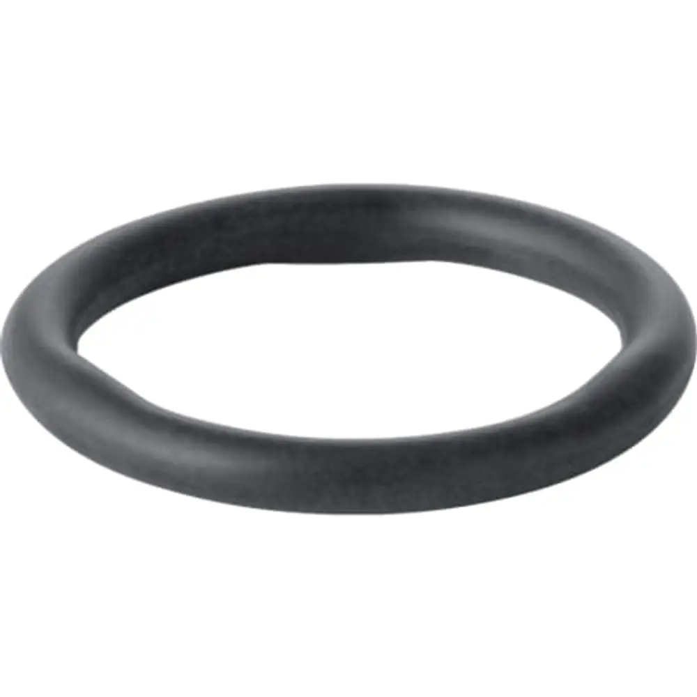 Schwarzer Dichtring mit runder Form, geeignet für verschiedene Anwendungen. Produkt von Geberit, gefertigt aus robustem Material.