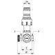 SXV_F13445_1