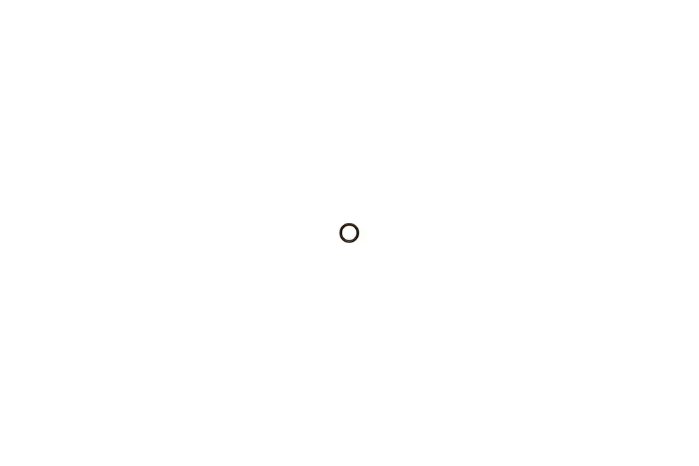 O-Ring für Gasventil in schlichter Form, ideal geeignet für Brötje-Produkte. Das Bild zeigt die runde, flache Dichtung in neutraler Farbgebung.