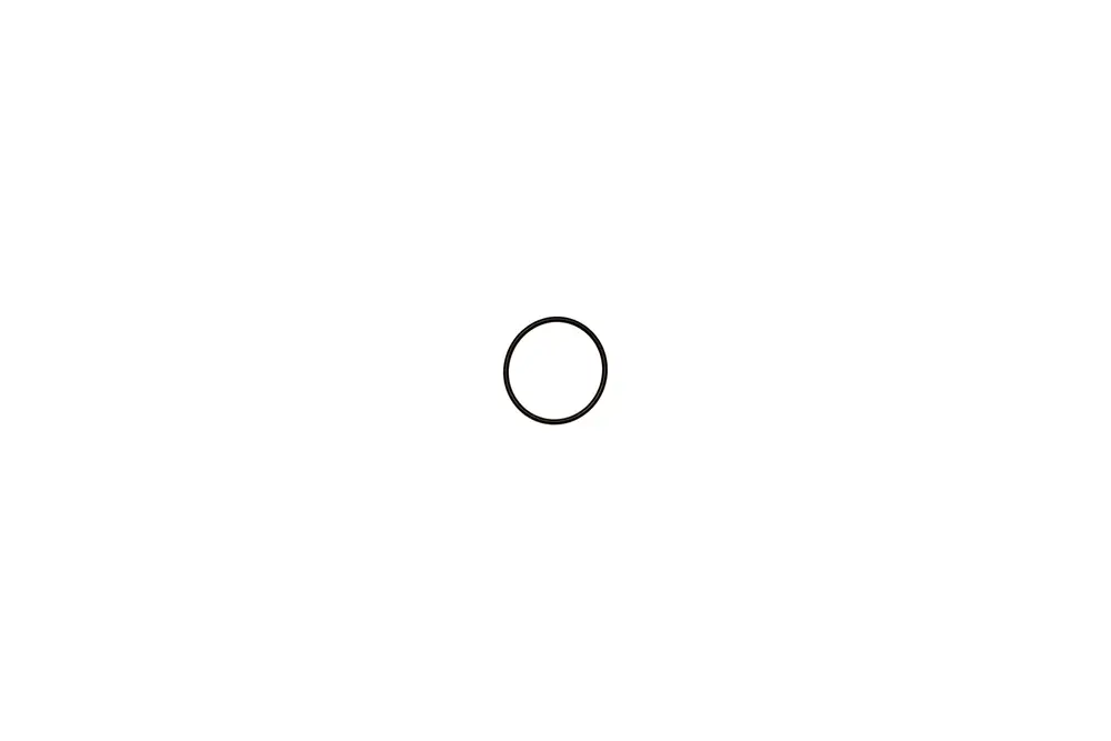 O-Ring in schwarzer Farbe, zentral platziert auf weißem Hintergrund. Teil einer Brötje-Gasarmatur, zur Abdichtung oder Verbindung geeignet.