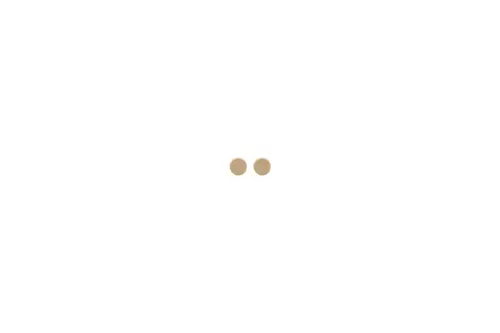Brötje Dichtung in Form von zwei runden, beige-farbenen Teilen, die auf einem weißen Hintergrund dargestellt sind.