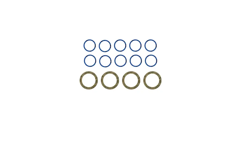 Brötje Dichtungs-Set mit blauen und braunen Ringen in zwei verschiedenen Größen. Anordnung: drei braune Ringe unter neun blauen Ringen, auf weißem Hintergrund.