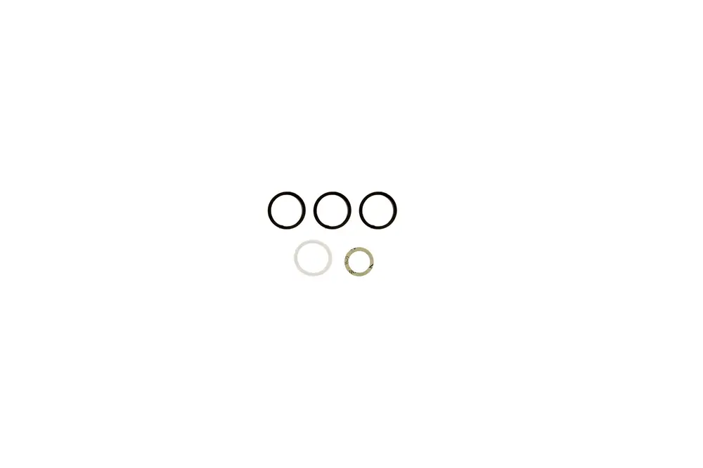 Dichtungsset von Brötje bestehend aus drei schwarzen und einem transparenten O-Ring sowie einem kleinen metallischen Sicherungsring auf weißem Hintergrund.