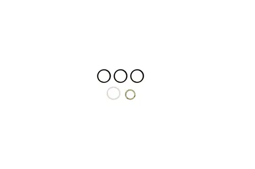 Dichtungsset von Brötje bestehend aus drei schwarzen und einem transparenten O-Ring sowie einem kleinen metallischen Sicherungsring auf weißem Hintergrund.