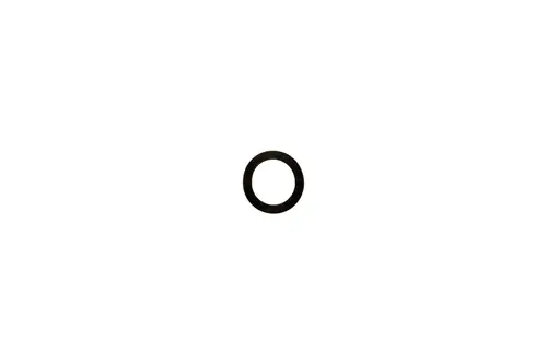 Schwarzer O-Ring auf weißem Hintergrund. Teil eines Anschlussstücks für den raumluftunabhängigen Betrieb, möglicherweise von Brötje.