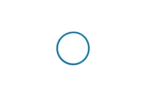 Blauer Lippendichtring mit runder Form, auf hellem Hintergrund. Geeignet für Anwendungen der Marke Brötje, um Dichtungen zu gewährleisten.