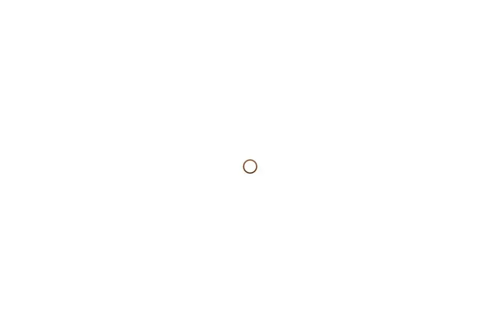 Brötje Dichtung in Form eines kleinen Rings auf hellem Hintergrund, geeignet zur Verwendung in Heizsystemen oder ähnlichen Anwendungen.