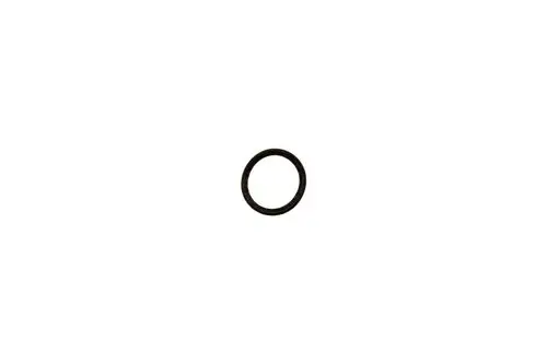 Schwarze Lippendichtung von Brötje in Form eines Rings auf weißem Hintergrund.