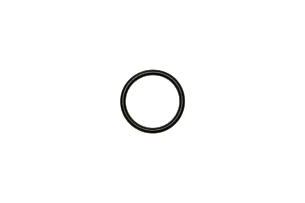Schwarzer O-Ring auf weißem Hintergrund, möglicherweise für eine Brötje Zellradschleuse verwendet. Runde Form ohne weitere spezifische Merkmale erkennbar.