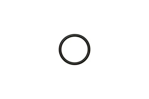 Schwarzer O-Ring auf weißem Hintergrund, möglicherweise für eine Brötje Zellradschleuse verwendet. Runde Form ohne weitere spezifische Merkmale erkennbar.