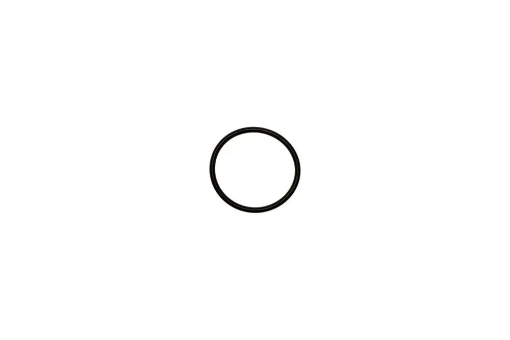 Schwarzer O-Ring auf weißem Hintergrund, passend für Brötje-Produkte, möglicherweise für die AGUASAVE WA 400.
