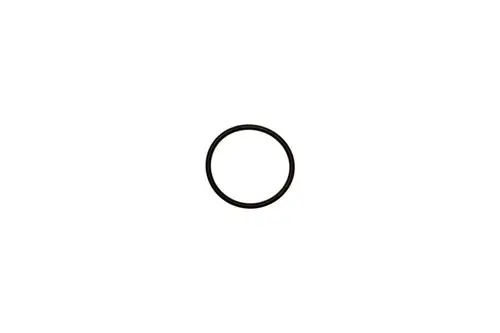 Schwarzer O-Ring auf weißem Hintergrund, passend für Brötje-Produkte, möglicherweise für die AGUASAVE WA 400.
