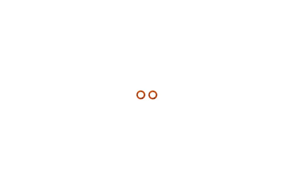 Zwei orangefarbene Dichtungsringe auf weißem Hintergrund, möglicherweise für Heizungsanwendungen, wie sie von Brötje verwendet werden.