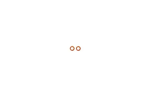 Zwei orangefarbene Dichtungsringe auf weißem Hintergrund, möglicherweise für Heizungsanwendungen, wie sie von Brötje verwendet werden.