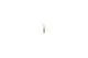 Broetje-Stecker-ISR-Rast-5-2-polig-ATF-627498