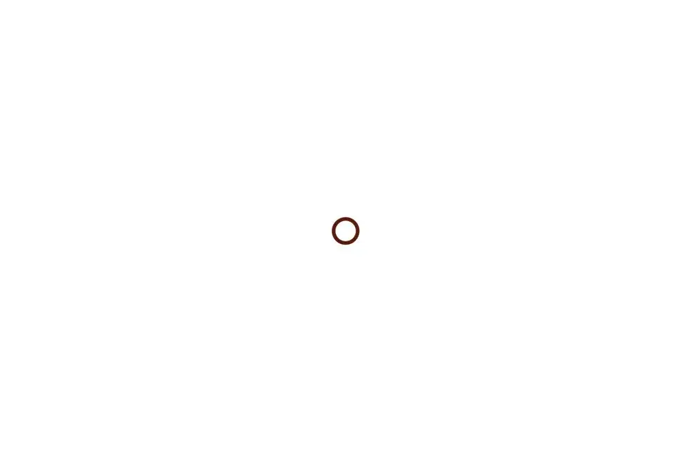 Runde Dichtung in roter Ausführung mit geringer Wandstärke, geeignet für Anwendungen von Brötje. Auf weißem Hintergrund ohne zusätzliche Details.
