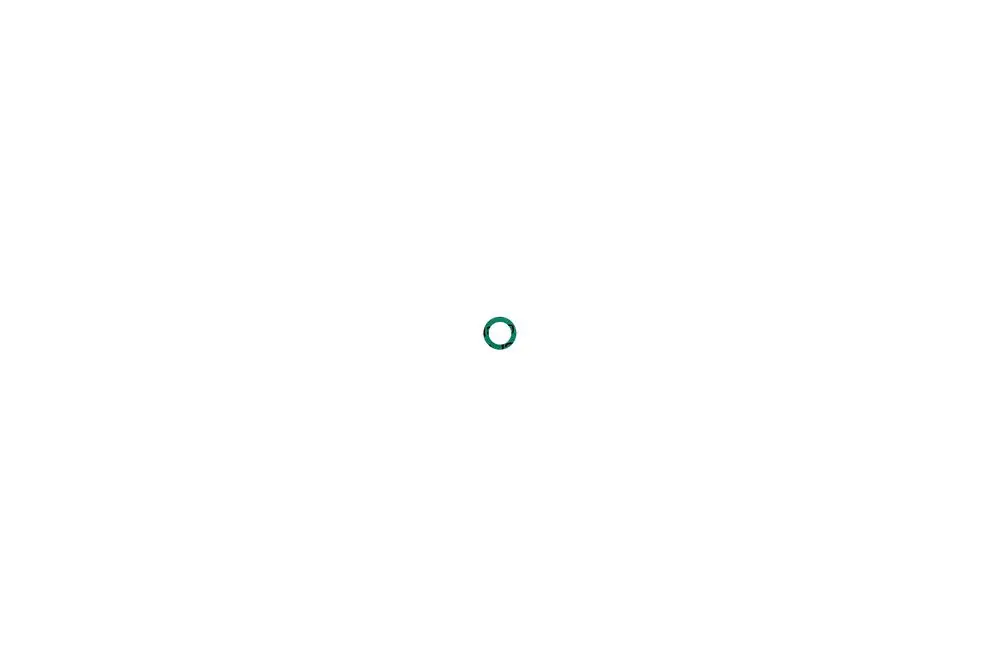 Brötje Dichtung in Form eines kleinen, runden Rings, präsentiert auf einem weißen Hintergrund. Die Dichtung hat eine grüne Farbe und scheint aus elastischem Material gefertigt zu sein.