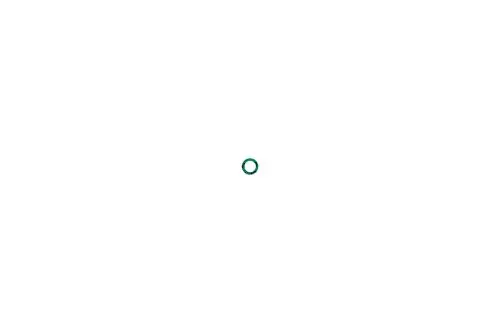 Brötje Dichtung in Form eines kleinen, runden Rings, präsentiert auf einem weißen Hintergrund. Die Dichtung hat eine grüne Farbe und scheint aus elastischem Material gefertigt zu sein.