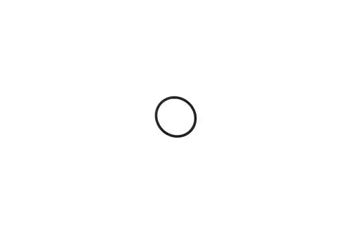Schwarze Dichtung in Form eines O-Rings, geeignet für Schraubdeckel von Brötje-Produkten. Klar umrissene, runde Form auf weißem Hintergrund.