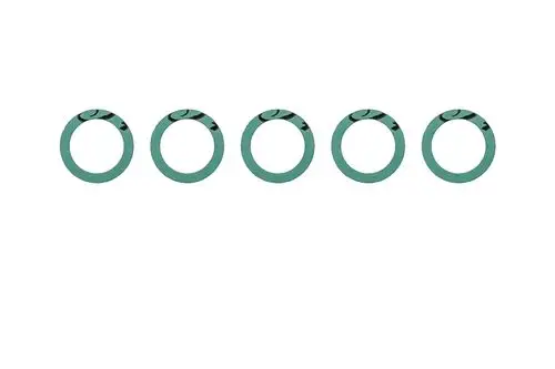 Grüne Dichtungen von Brötje in Form von Ringen, angeordnet in einer Reihe, gut sichtbar auf hellem Hintergrund.