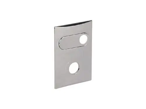 Edelstahlplatte mit rechteckiger Form und zwei unterschiedlichen Öffnungen, hergestellt von Dallmer, geeignet für senkrechten Einbau.