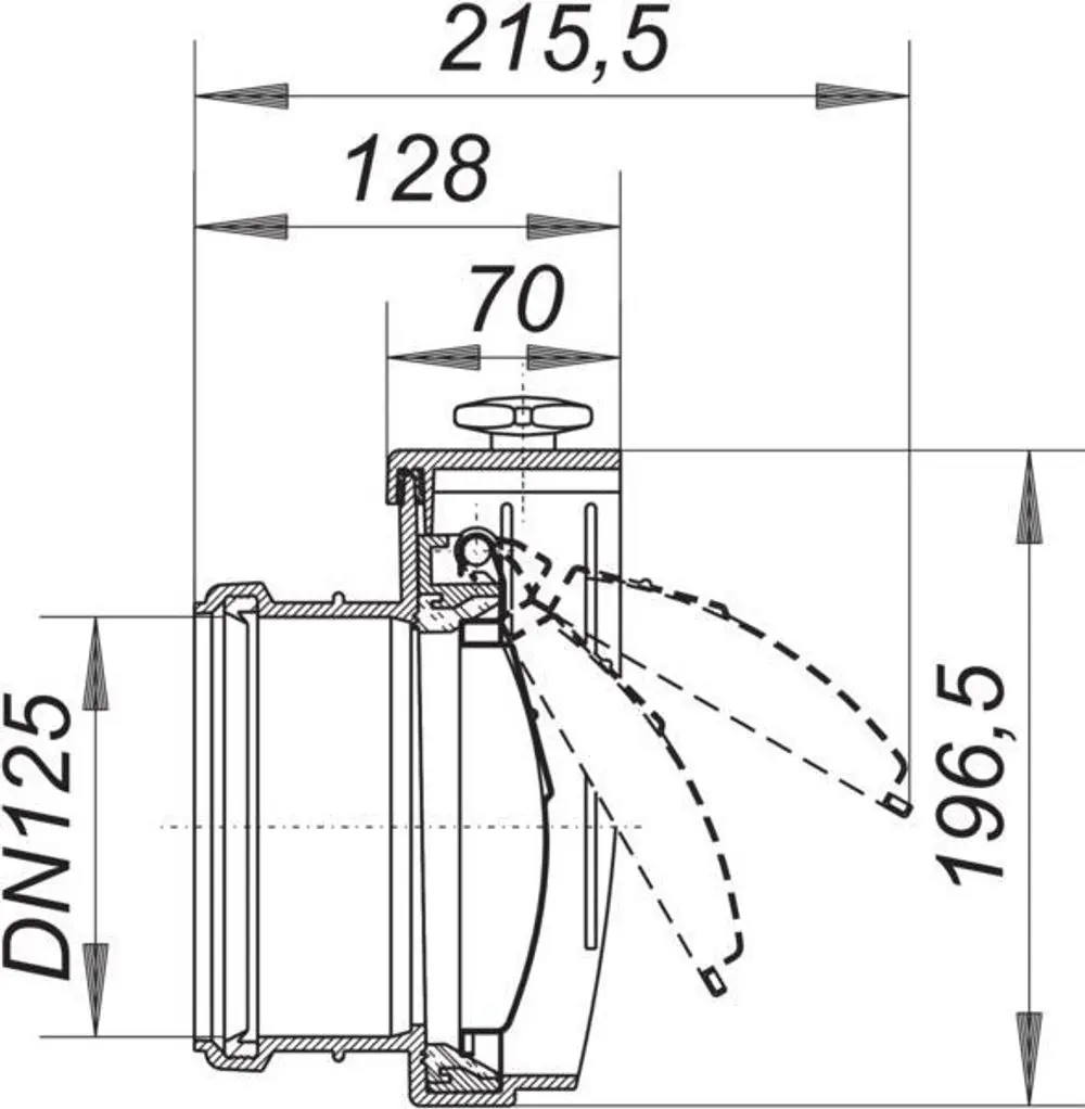 Technische Zeichnung einer Rohrklappe von Dallmer, DN 125, mit Maßangaben und Schnittdarstellung. Die Klappe zeigt einen Flansch und eine bewegliche Komponente.