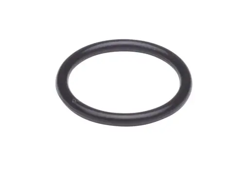 Schwarzer O-Ring, einteiliger Ring ohne spezifische Maße, geeignet für industrielle Anwendungen, hergestellt von Danfoss.