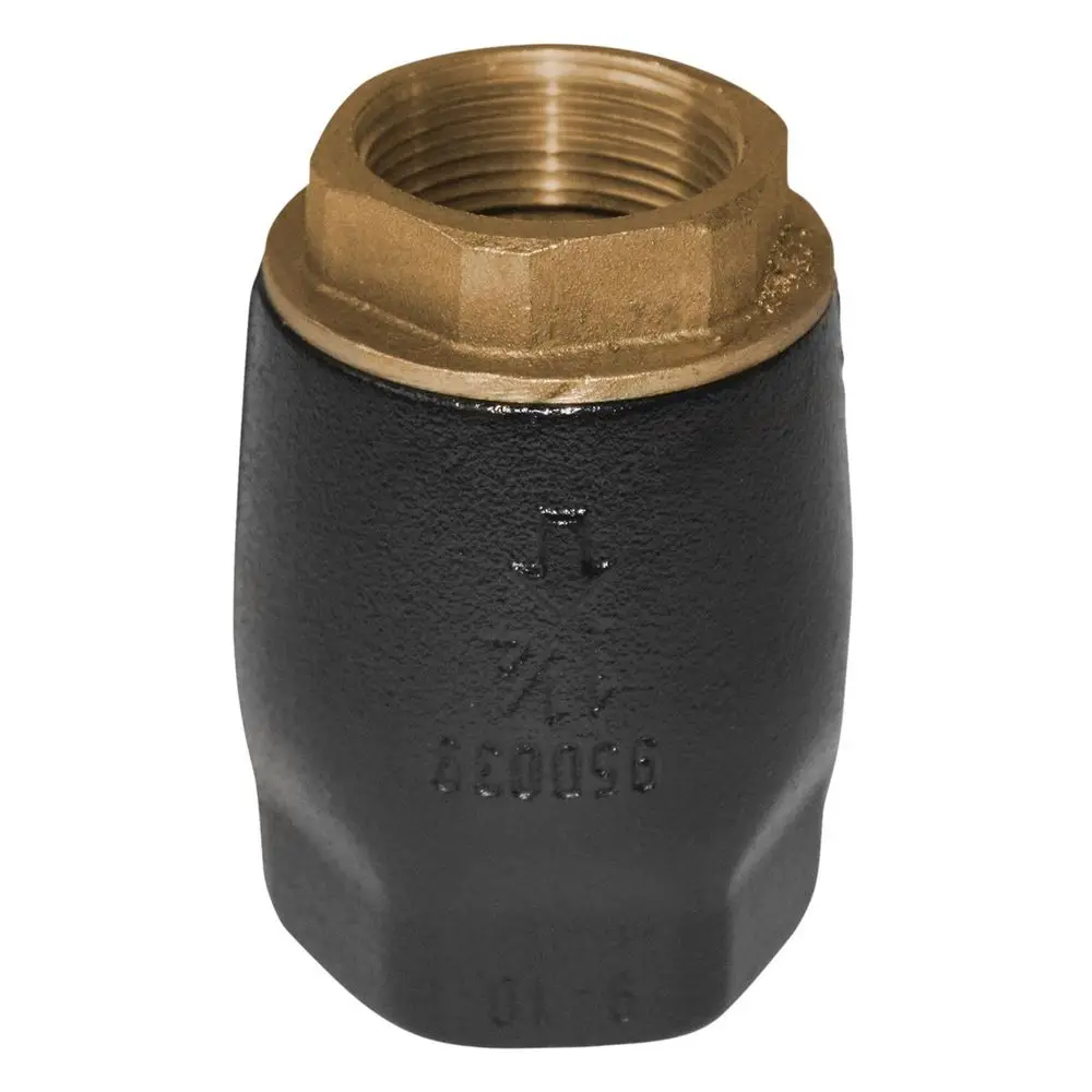 Schwarzes Belüftungsventil mit goldenem Gewinde und sechsseitigem Kopf, hergestellt von Grundfos, für den Einsatz in Unterwasserpumpen.