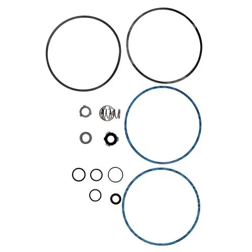 Ersatzteil-Kit mit mehreren Dichtungen und O-Ringen von Grundfos, geeignet für den Einsatz in Pumpensystemen. Teile in verschiedenen Größen angeordnet.
