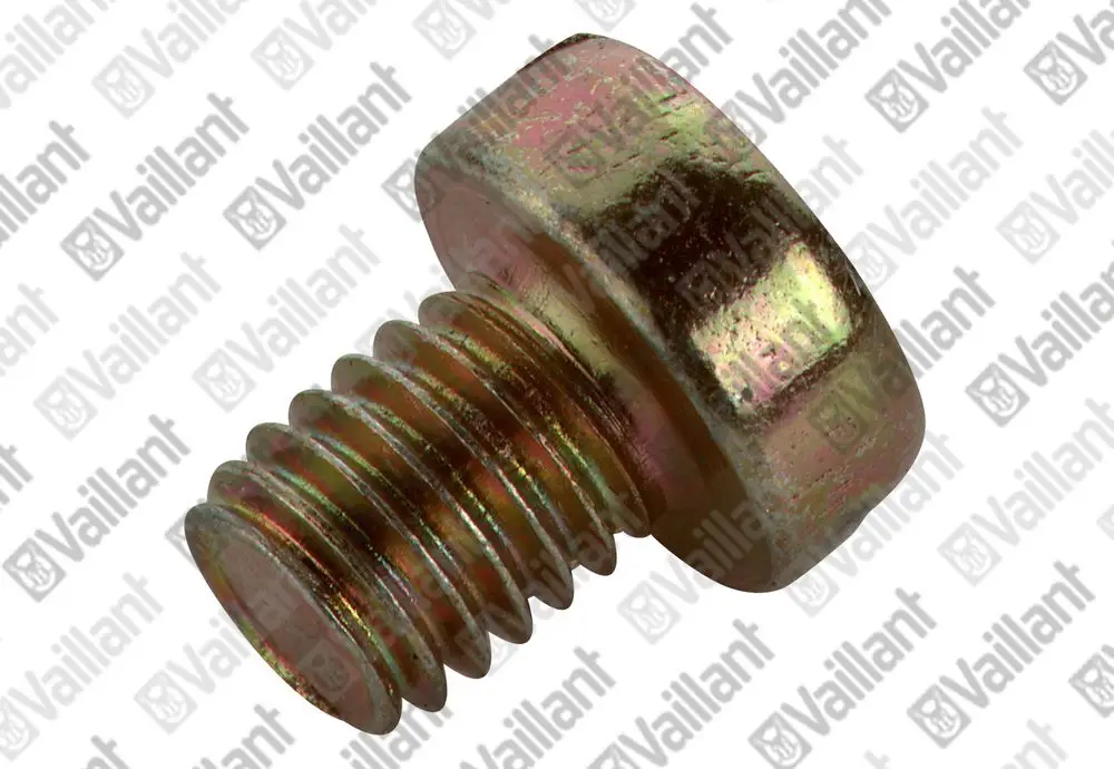 Vaillant Zylinderschraube mit gewinde, aus Metall, auf heller Hintergrund. Sie zeigt eine runde Kopfform und einen schraubbaren Teil mit sichtbaren Gewinden.