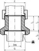 Gewindepassstück mit mechanischem Zubehör, dargestellt in schematischer Ansicht. Teile für Rohrverbindungen, Marke Wilo, einschließlich Maßangaben.