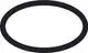 Schwarzer O-Ring mit ovaler Form und glatter Oberfläche auf weißem Hintergrund. Teil einer Dichtungslösung von Hansgrohe.