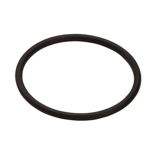 Schwarzer O-Ring von Hansgrohe, kreisförmig mit glatter Oberfläche. Verwendung zur Abdichtung in verschiedenen Anwendungen.