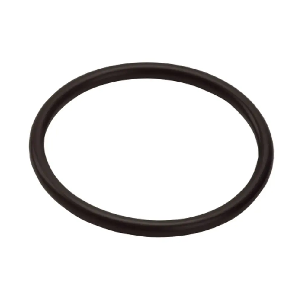 Schwarzer O-Ring von Hansgrohe, rund und aus flexiblem Material, geeignet für Dichtungsanwendungen in Sanitärinstallationen.