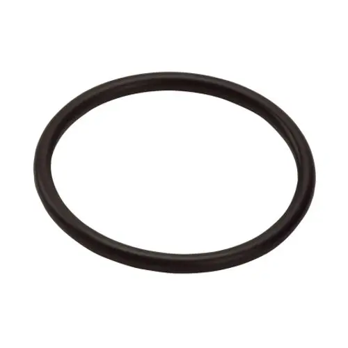 Schwarzer O-Ring von Hansgrohe, rund und aus flexiblem Material, geeignet für Dichtungsanwendungen in Sanitärinstallationen.
