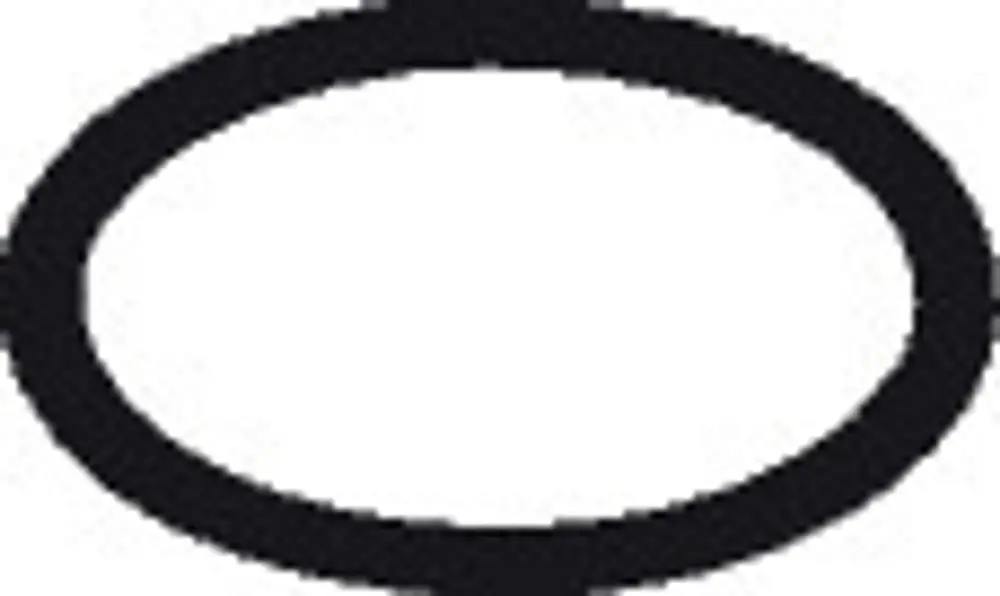 Schwarzer O-Ring mit ovaler Form, verwendet in Dichtungsanwendungen. Geeignet für Installationen, inklusive Produkte von Hansgrohe.