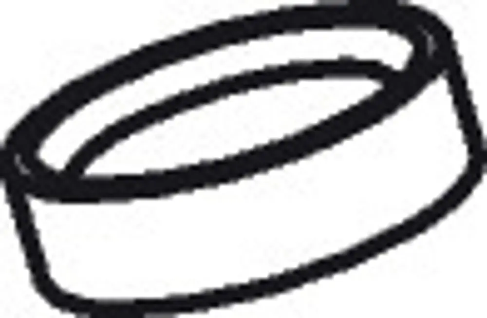 Schwarze Gummidichtung in ovaler Form, geeignet für die Verwendung in Kopfbrausen. Kompatibel mit Produkten von Hansgrohe.