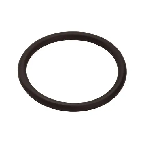 Schwarzer O-Ring vor weißem Hintergrund, geeignet für Dichtungsanwendungen. Produkt von Hansgrohe.