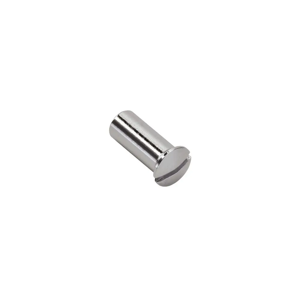 Hohlschraube von Hansgrohe mit glattem, metallischem Finish. Das Produkt hat eine zylindrische Form mit einer flachen, abgerundeten Oberseite.