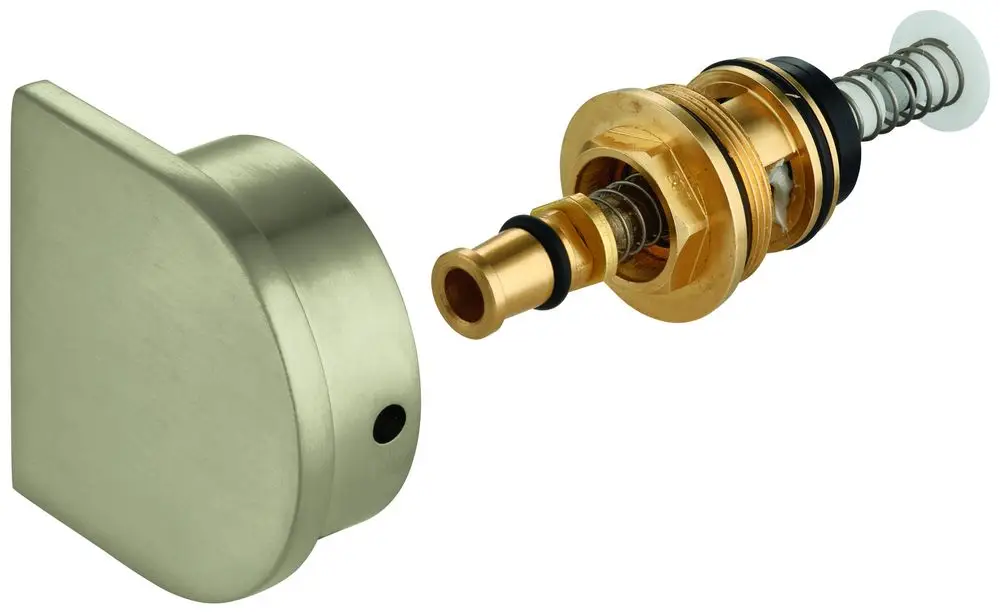 GROHE Umstellungsteil in gebürstetem Nickel für Wand- und Bodenmontage. Zeigt einen Metallkörper und einen Ventilmechanismus.