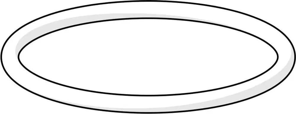 O-förmiger Ring in neutraler Farbgebung, mit klar definiertem Rand, typisch für Dichtungsanwendungen, hergestellt von HANSA.