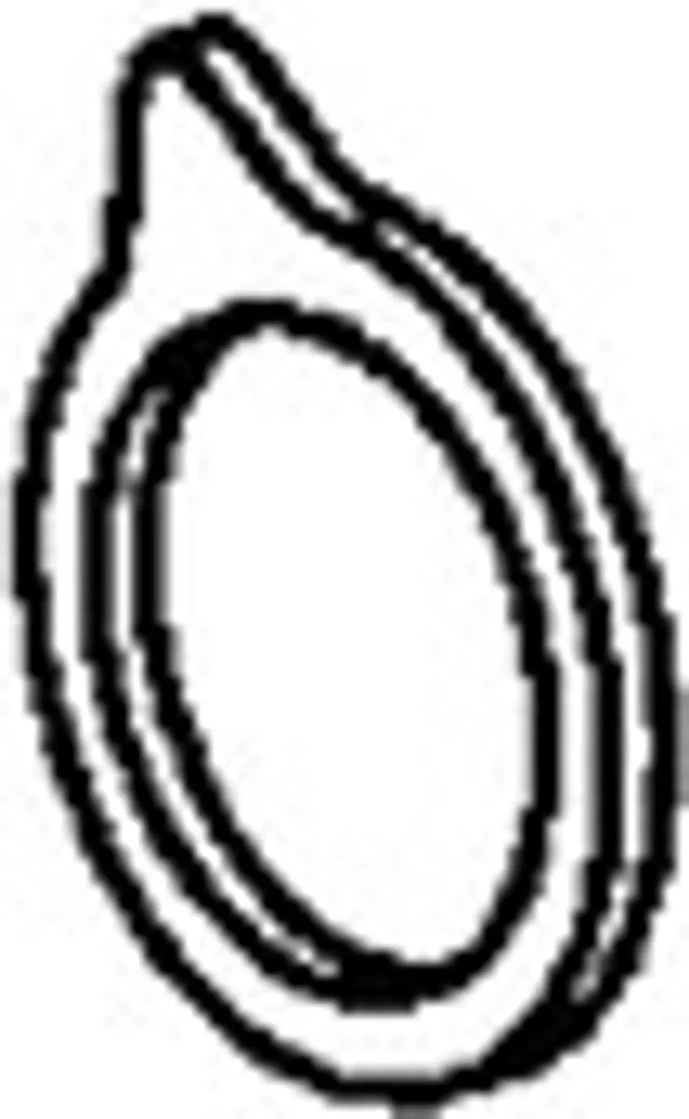 Schutzring von HANSA, oval geformt, mit einer Verdickung an einer Seite, um einen sicheren Sitz zu gewährleisten.
