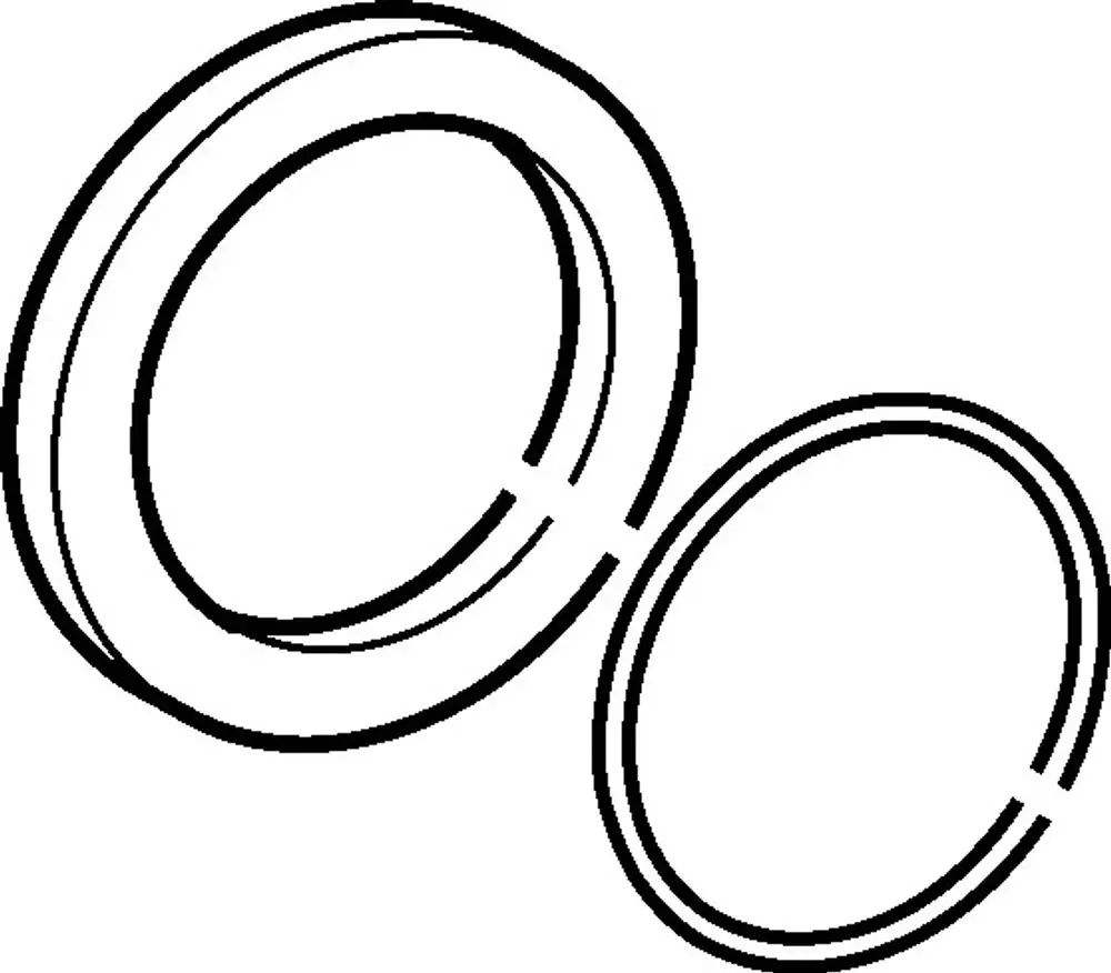 Zwei runde Rosetten in gepunstertem Design, aus Chrom, die übereinander liegen. Das Produkt ist von der Marke HANSA.