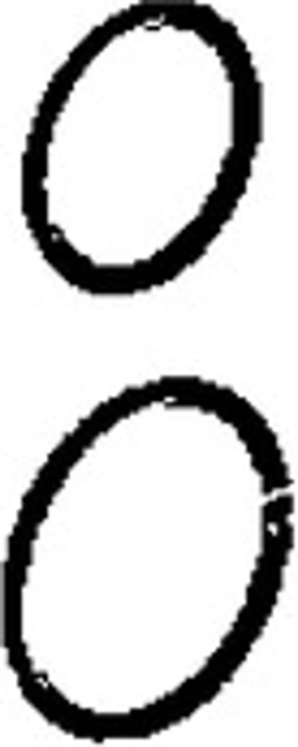 Zwei O-Ringe von HANSA in ovaler Form, erkennbar an der schwarzen Umrandung und inneren Öffnung.