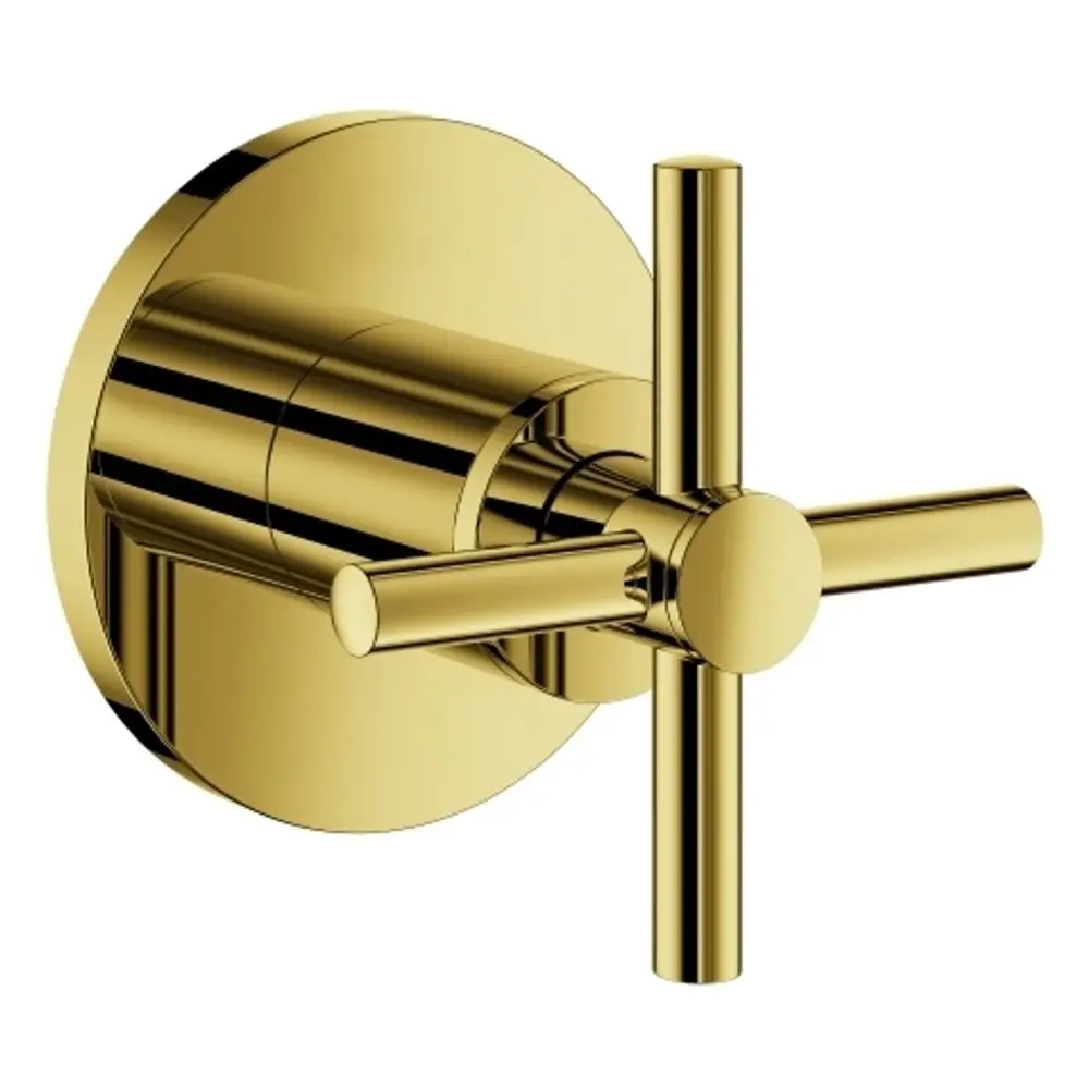 Goldfarbener Wandgriff mit Kreuz-Design von Grohe, montiert auf einer runden Grundplatte. Ideal geeignet für Bad- oder Duschanwendungen.