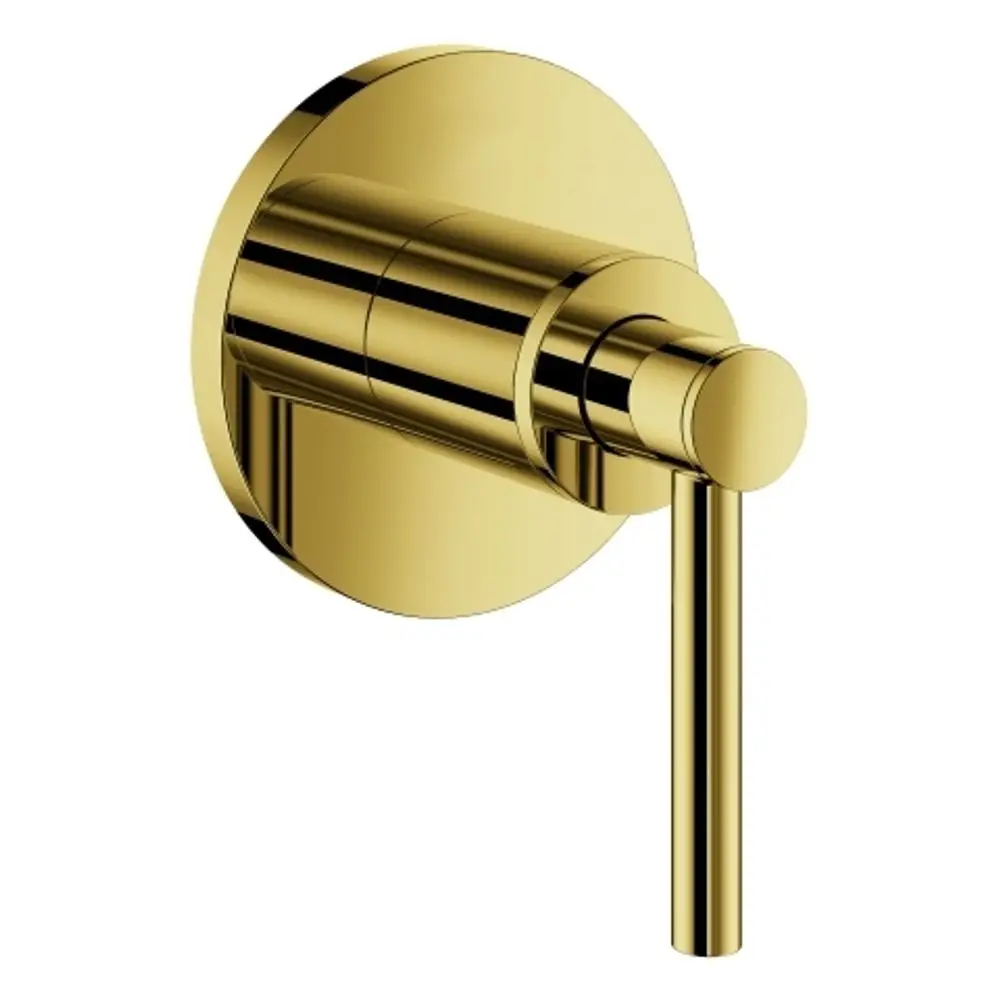 Goldfarbener Grohe Hebelgriff mit runder Wandplatte, geeignet für einen Wasserhahn oder eine Brausearmatur in einem modernen Badezimmerdesign.
