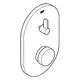 Brausearmatur mit einem runden Regler und einem Hebel für den Wasserfluss, montiert auf einer ovalen Platte, hergestellt von Grohe.