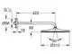 Grohe Kopfbrause mit einem Durchmesser von 310 mm und einem Brausearm von 422 mm, dargestellt in einer technischen Zeichnung mit Maßangaben.