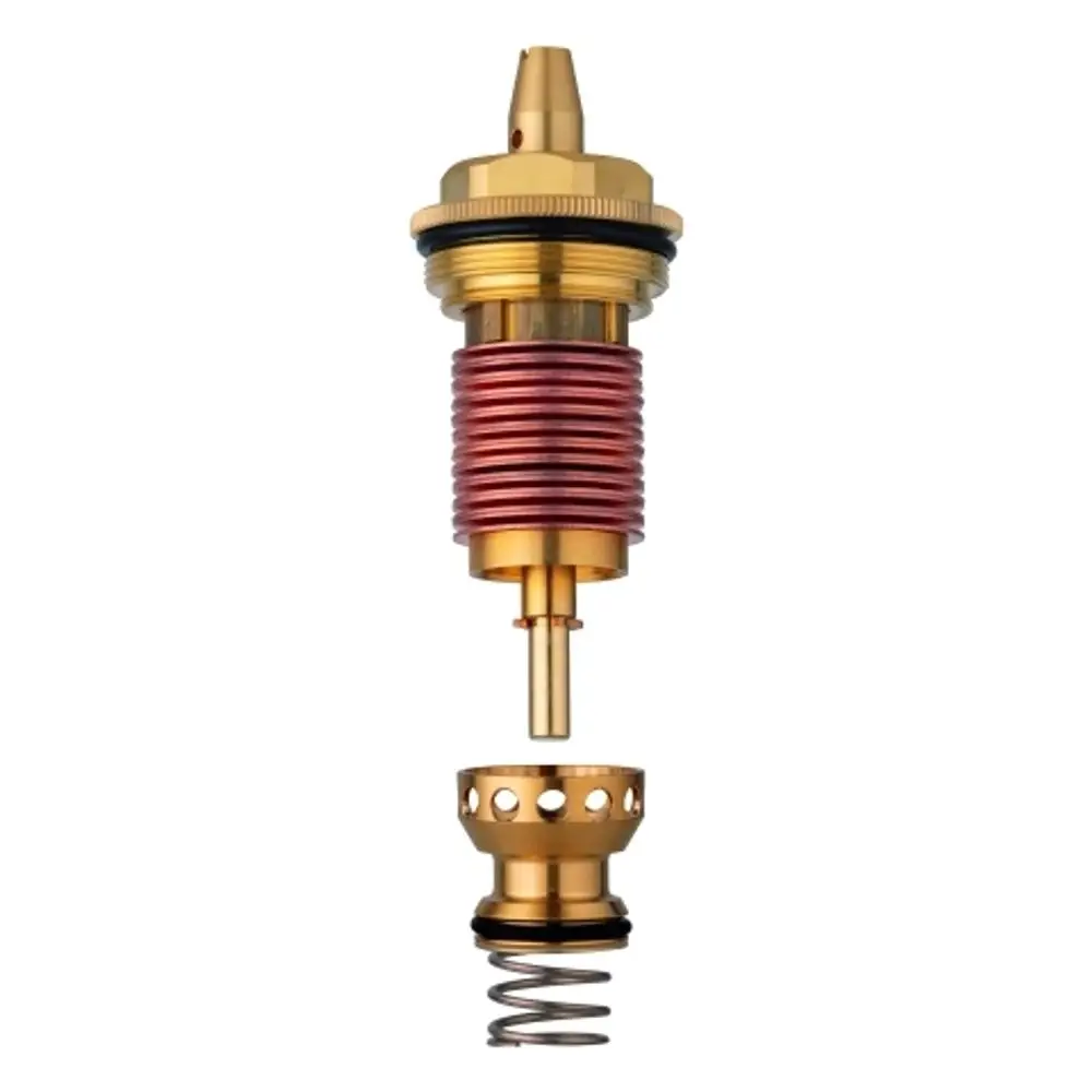 GROHE Thermoelement mit Bimetallkomponente, bestehend aus mehreren Teilen einschließlich eines Gewindeteils, einer Feder und einer Dichtung, in metallischem Design.